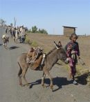 Ethioptrek (777) (Small)